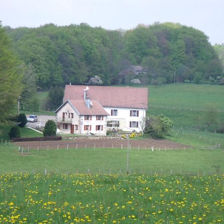 Gite Les Hirondelles Plombieres-les-Bains Ruang foto