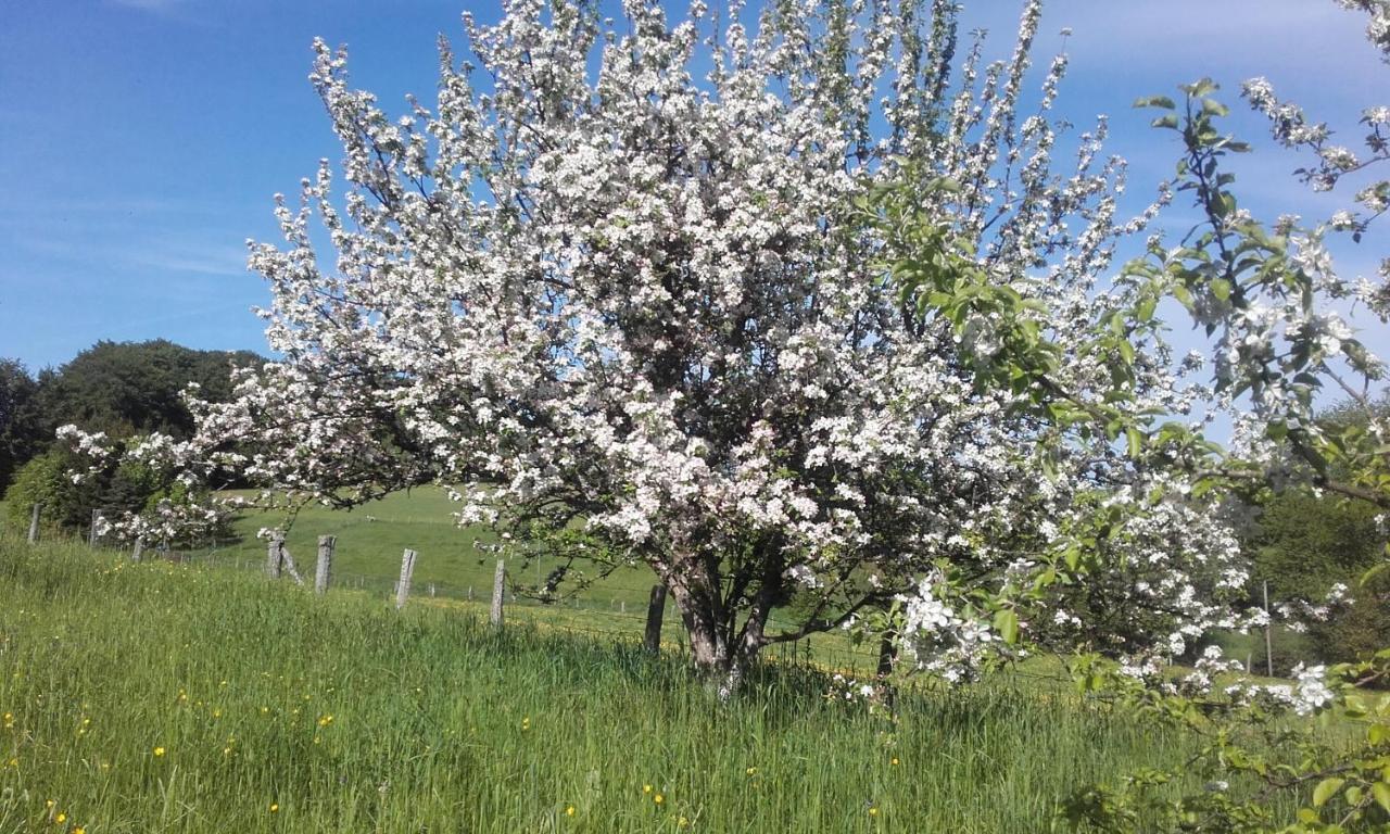 Gite Les Hirondelles Plombieres-les-Bains Bagian luar foto