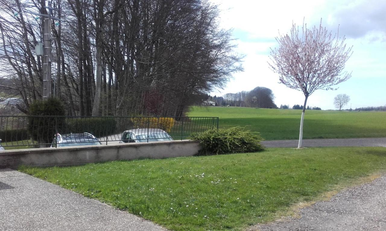 Gite Les Hirondelles Plombieres-les-Bains Bagian luar foto