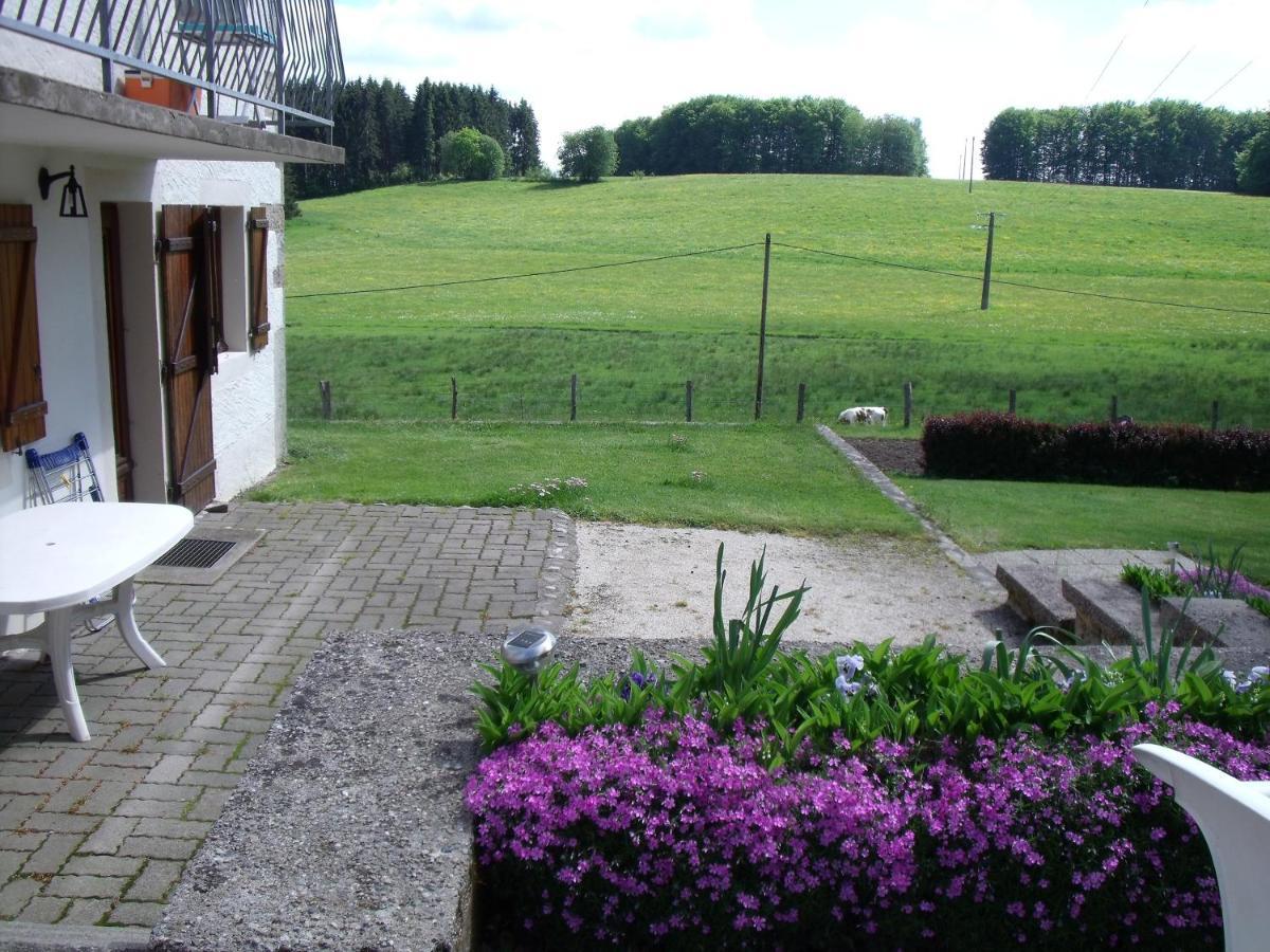 Gite Les Hirondelles Plombieres-les-Bains Bagian luar foto