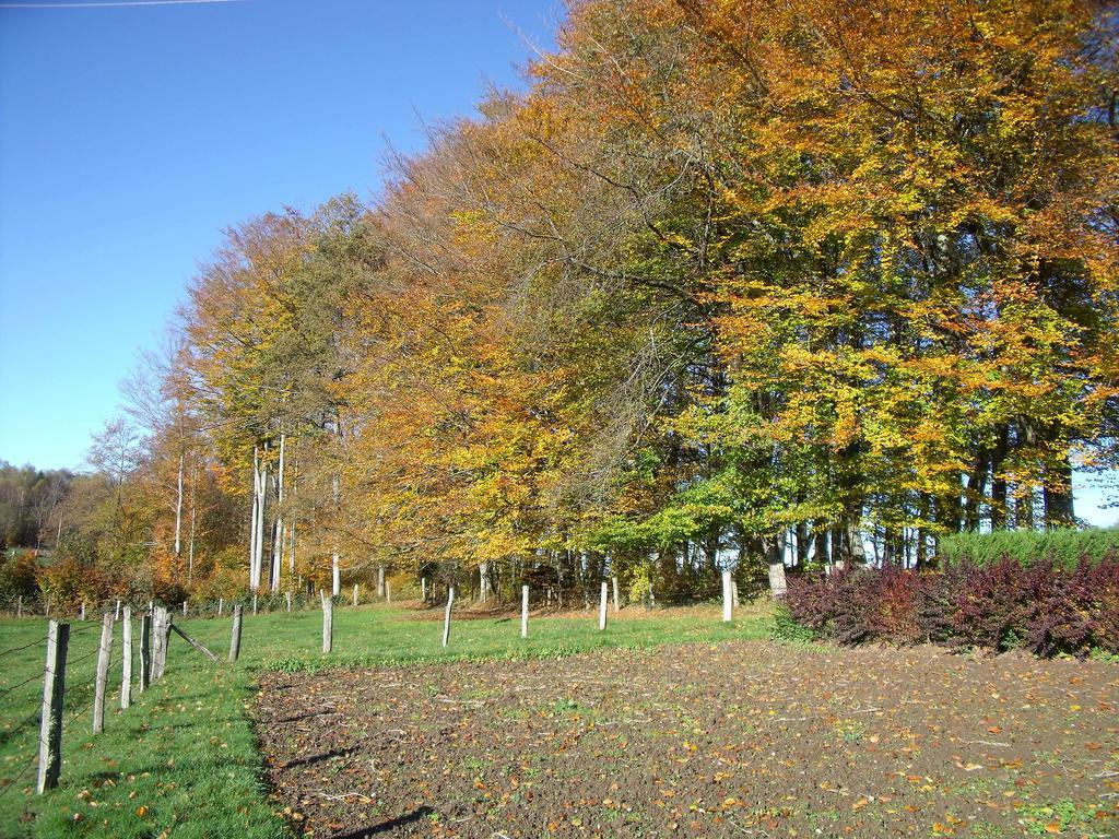 Gite Les Hirondelles Plombieres-les-Bains Bagian luar foto