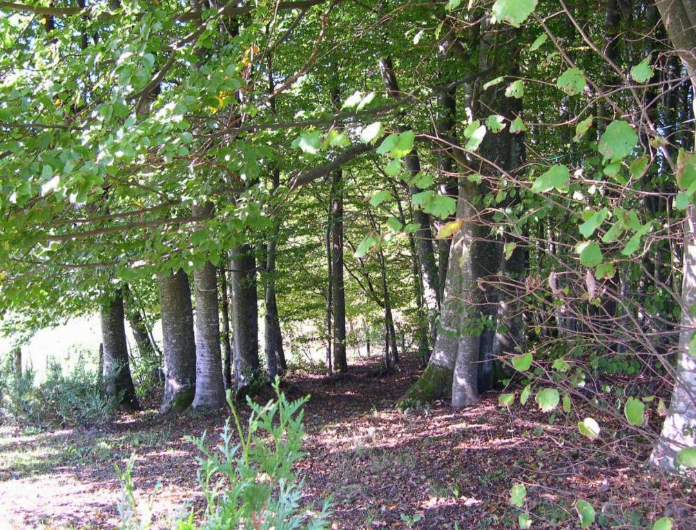Gite Les Hirondelles Plombieres-les-Bains Bagian luar foto