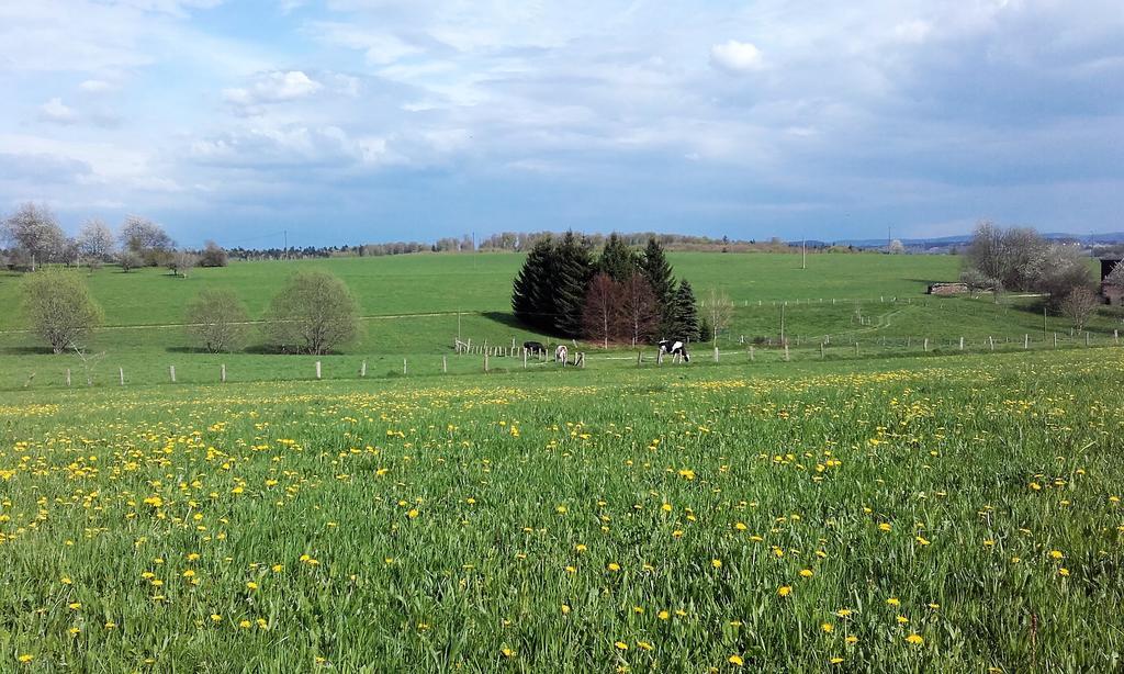 Gite Les Hirondelles Plombieres-les-Bains Bagian luar foto