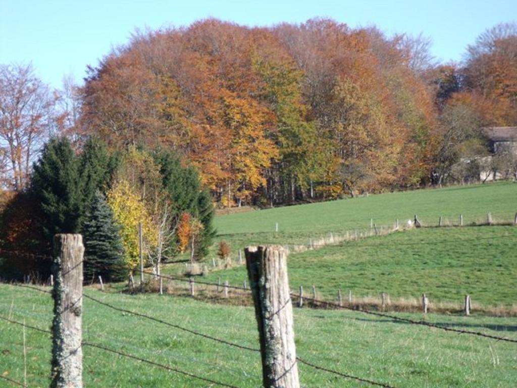 Gite Les Hirondelles Plombieres-les-Bains Bagian luar foto