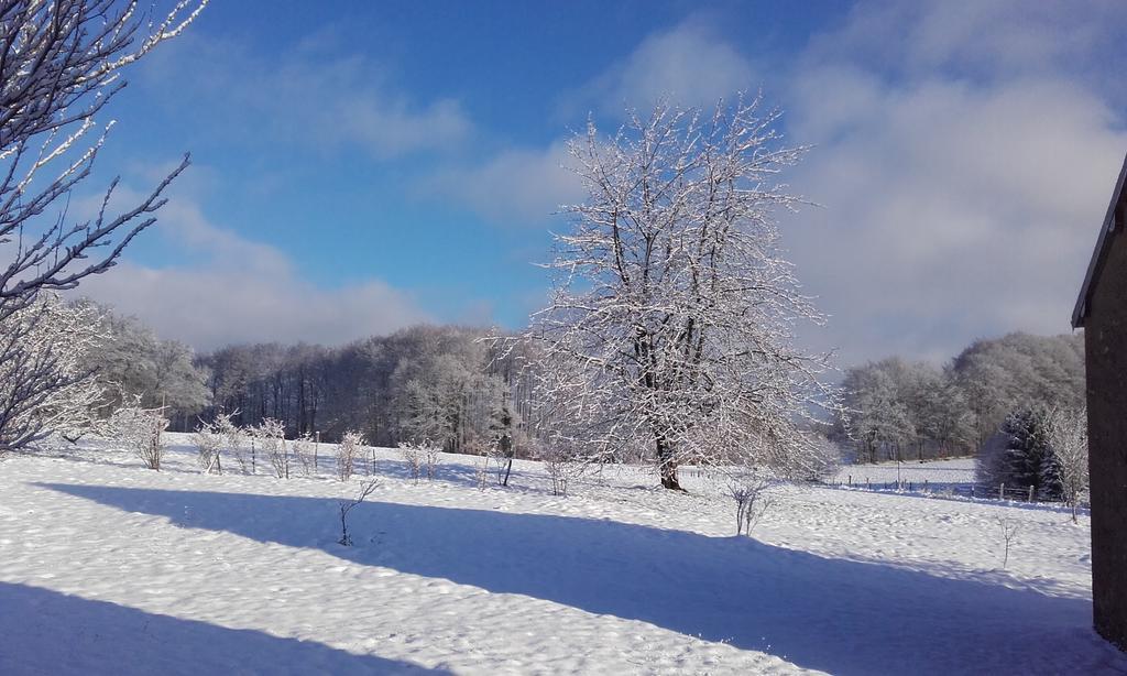 Gite Les Hirondelles Plombieres-les-Bains Bagian luar foto