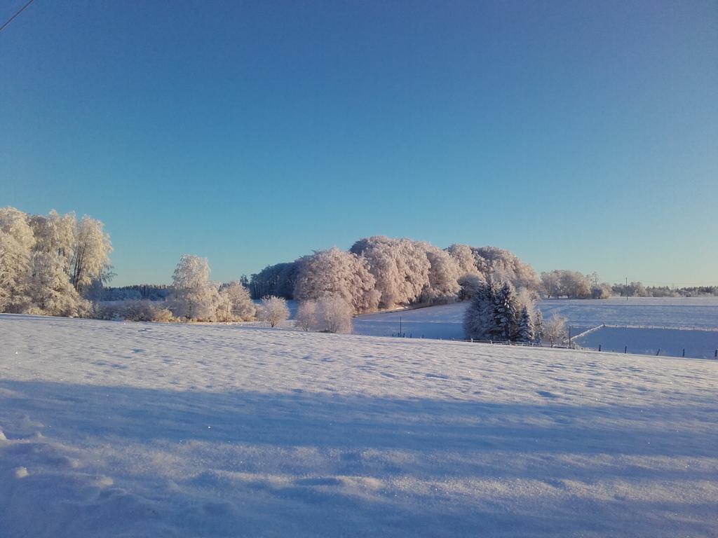 Gite Les Hirondelles Plombieres-les-Bains Bagian luar foto
