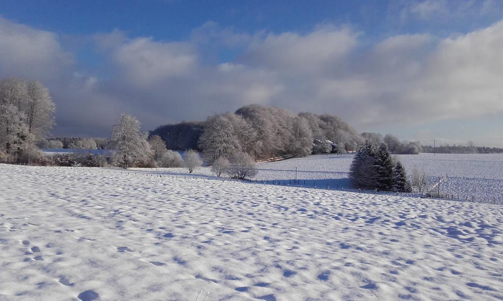 Gite Les Hirondelles Plombieres-les-Bains Bagian luar foto