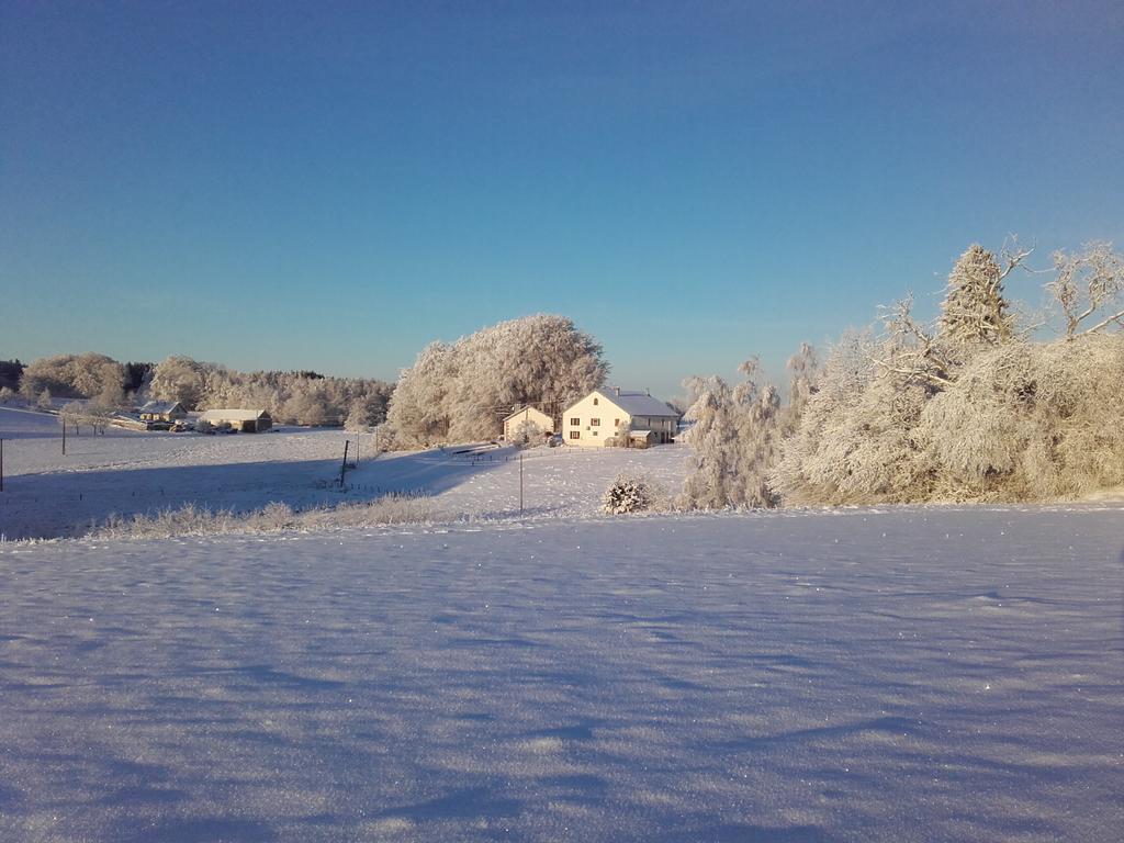 Gite Les Hirondelles Plombieres-les-Bains Bagian luar foto