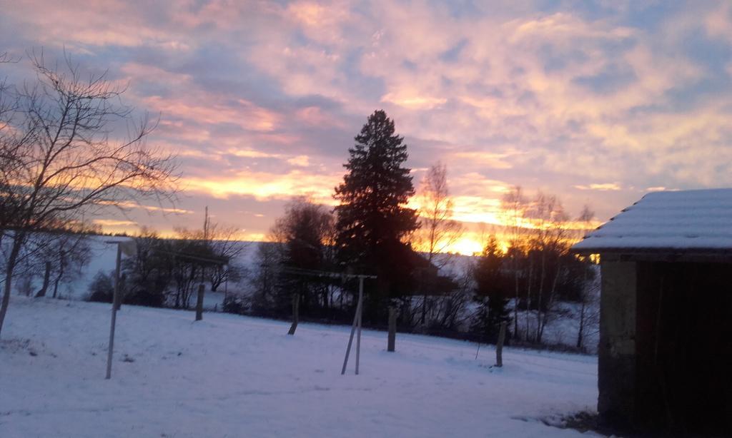 Gite Les Hirondelles Plombieres-les-Bains Bagian luar foto